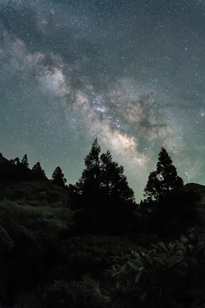 Desert Night Sky